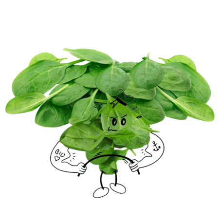 NATURGUT Bio Baby Blattspinat