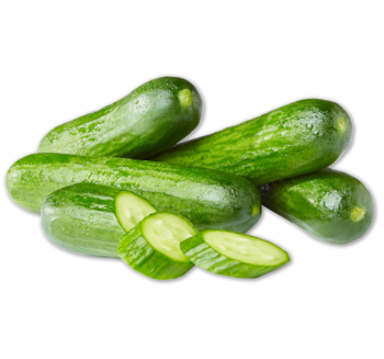 Mini-Gurke 0.33