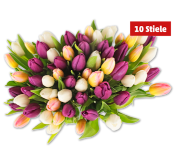 Tulpen „Hot & fresh“*