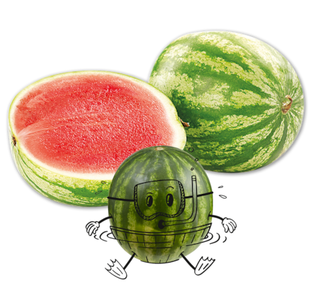 NATURGUT Bio Mini-Wassermelone