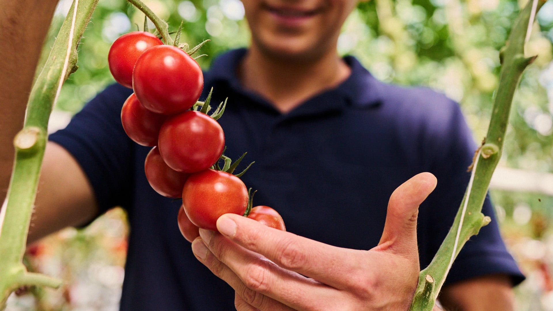 Wolfan Steiner überprüft im Labor mit einer Lupe die Qualität der Saat.