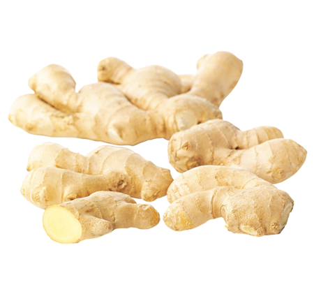 NATURGUT Bio Ingwer