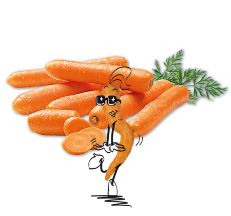 NATURGUT Bio Karotte Snack