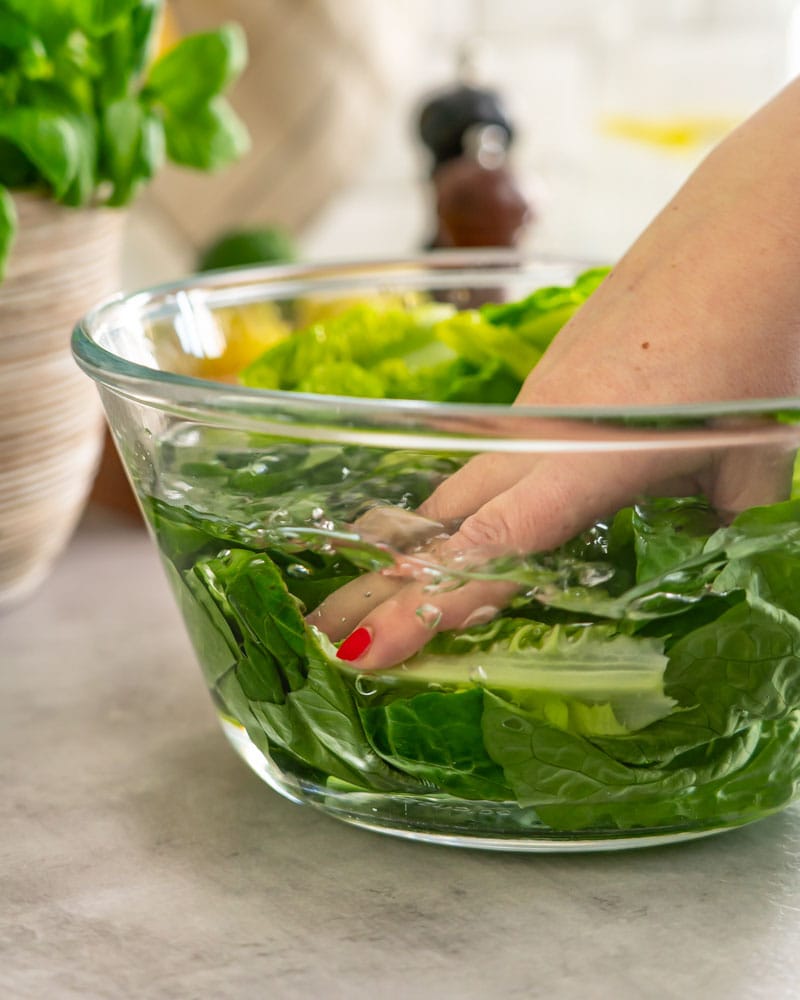 Dieses Bild zeigt wie der Salat gewaschen wird.
