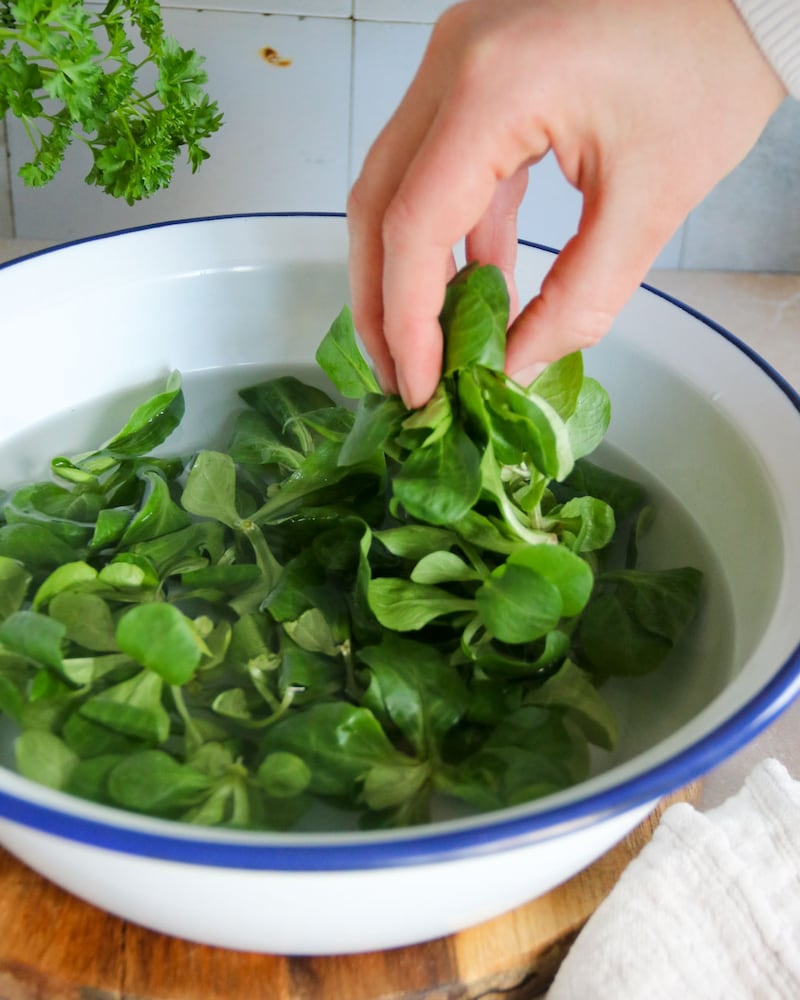 Dieses Bild zeigt wie der Salat gewaschen wird.