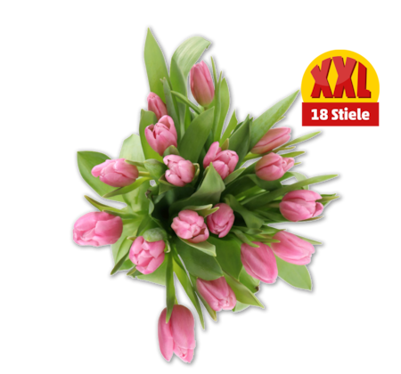 Tulpen Multipack*