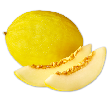 Honigmelone