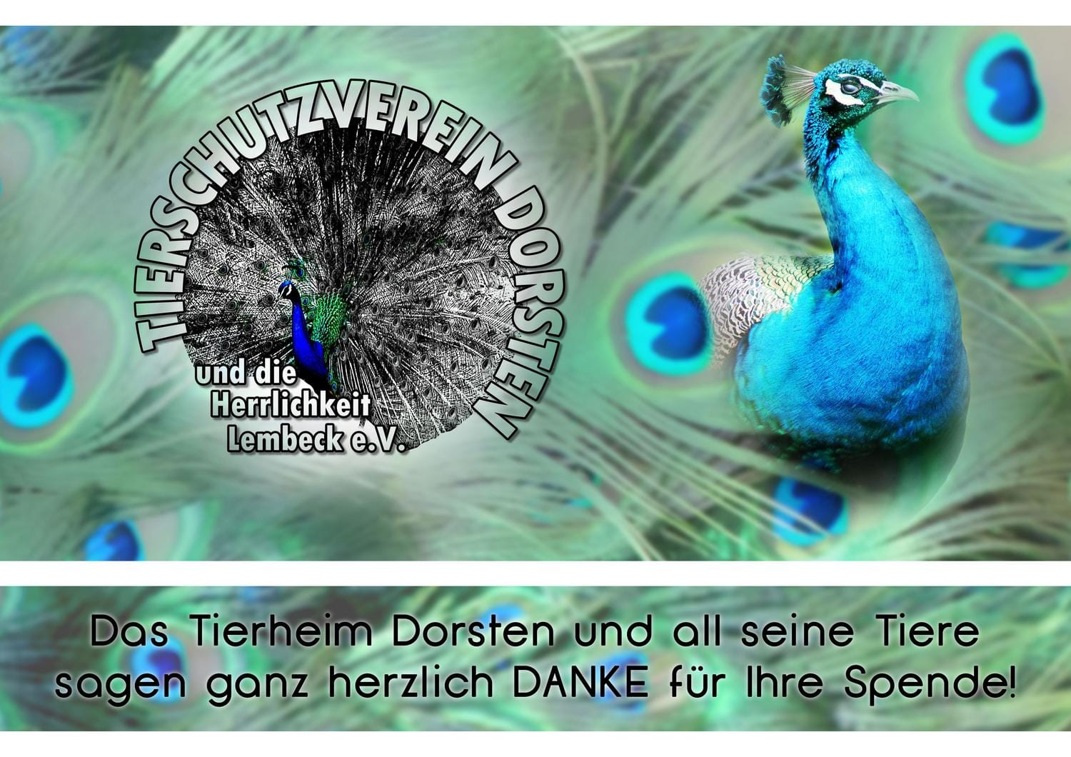 Vereinslogo