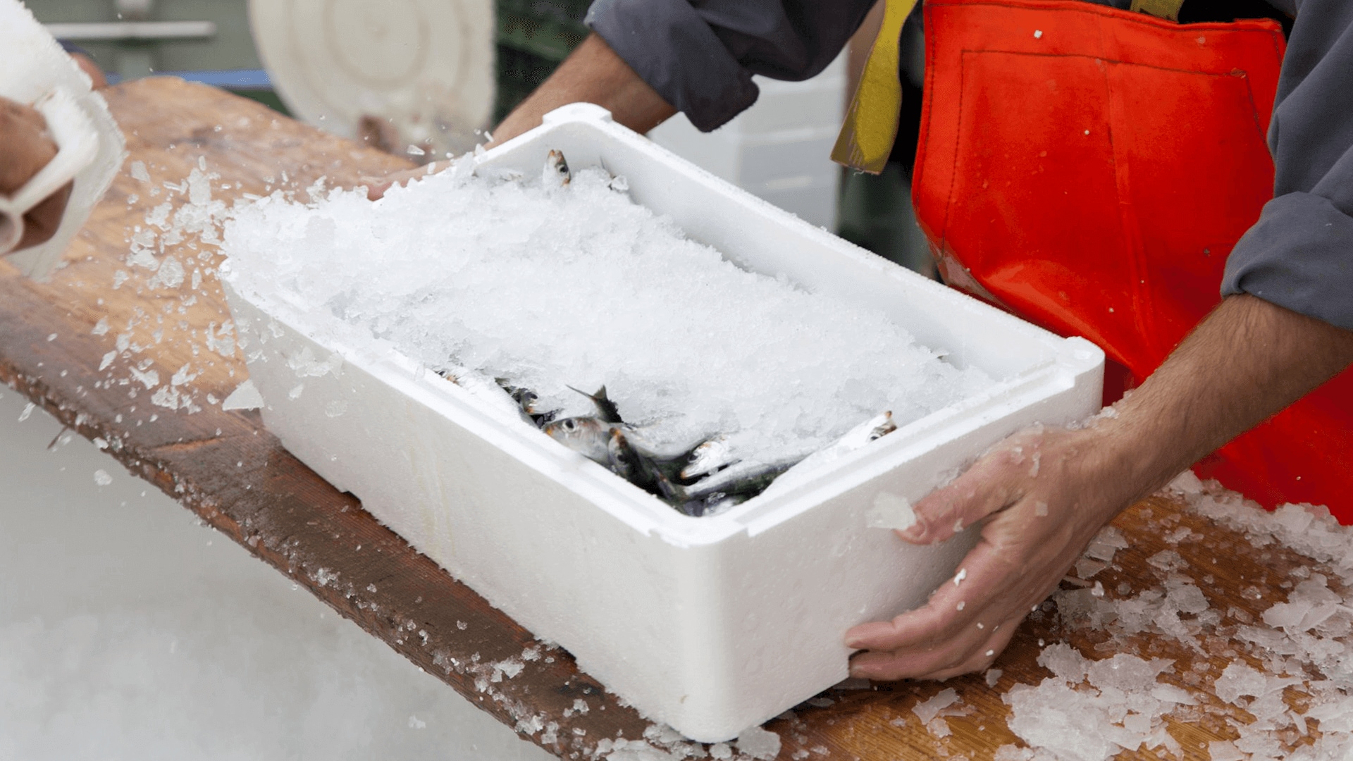 Hände halten eine Kiste mit Fisch und Eis darin