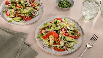 Diese Bild zeigt den fertigen Avocado-Paprika-Salat.