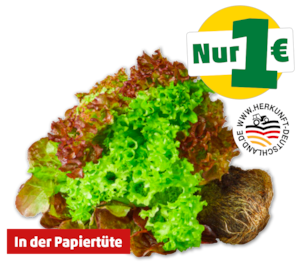 Deutsche bunte Salate mit Wurzel