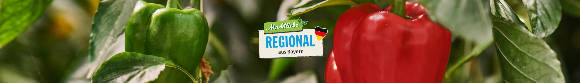 Das Markliebe Regional aus dem Südwesten Logo vor einem Rotkohlfeld