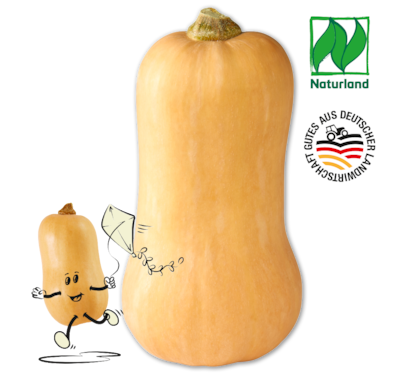 NATURGUT Deutscher Bio-Butternutkürbis 1.99