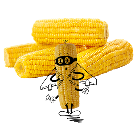 NATURGUT Bio Zuckermais vakuumiert