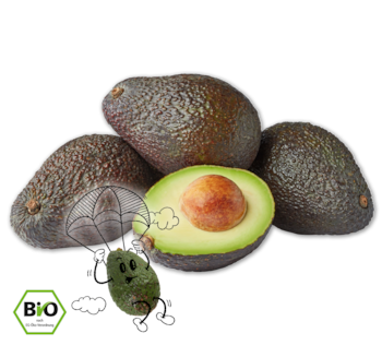 NATURGUT Bio-Avocado 1.00