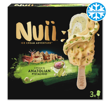 NUII Ice Cream Adventure 2.29