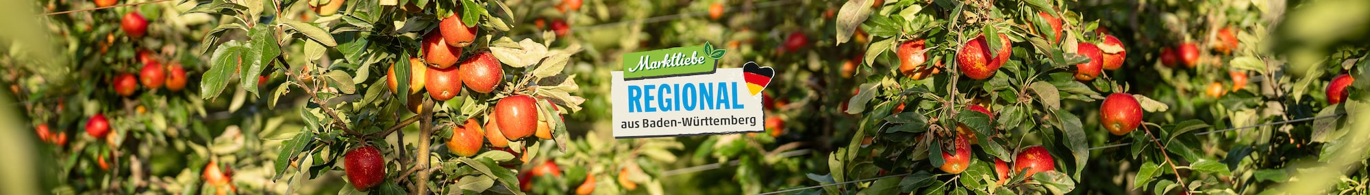 Das Markliebe Regional aus dem Südwesten Logo vor einem Rotkohlfeld