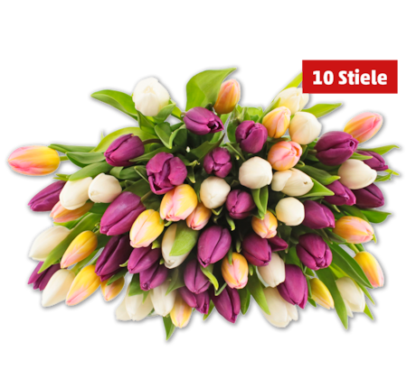 Tulpen Hot & Fresh im Bund*
