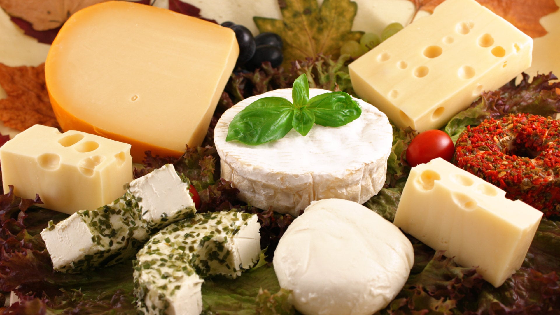 Große bunte Auswahl an Käse