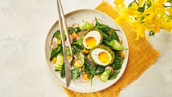 Falafel Scotch Eggs  
