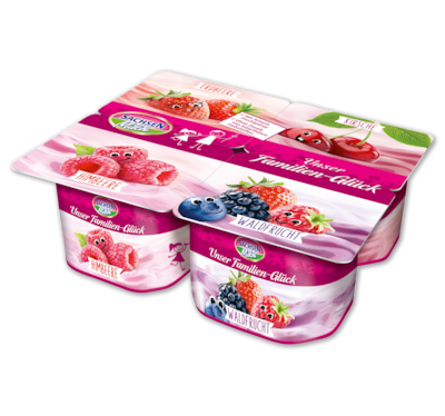 SACHSENMILCH Unser Familien-Glück Joghurt 1.19