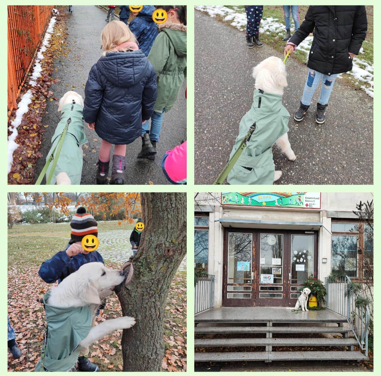 Collage von Kindern beim Spielen mit dem Therapiebegleithund