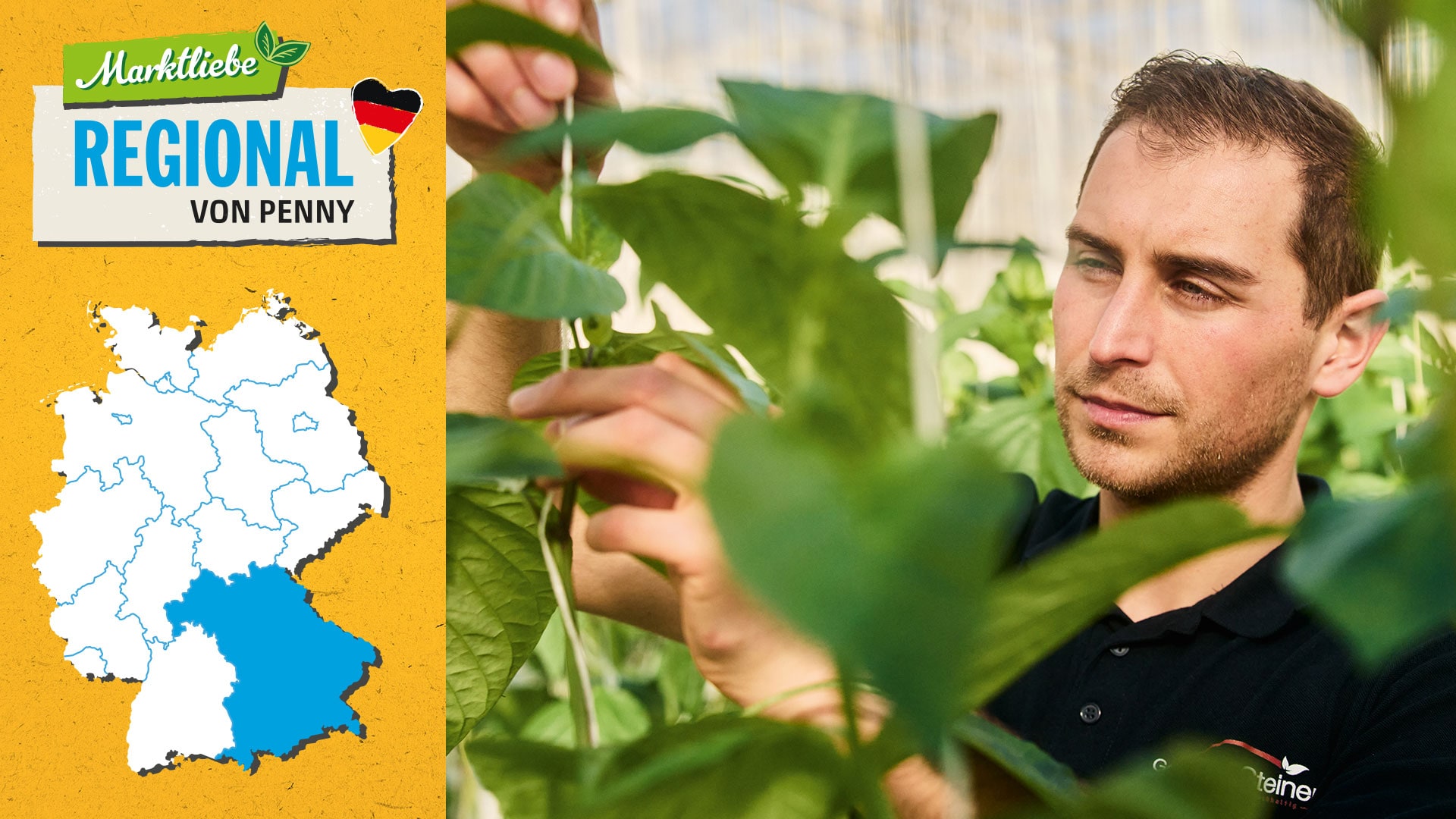 Wolfgang Steiner überprüft die jungen Paprikapflanzen in seinem Gewächshaus. Daneben sehen wir die Deutschlandkarte, auf der die Region Bayern markiert ist.