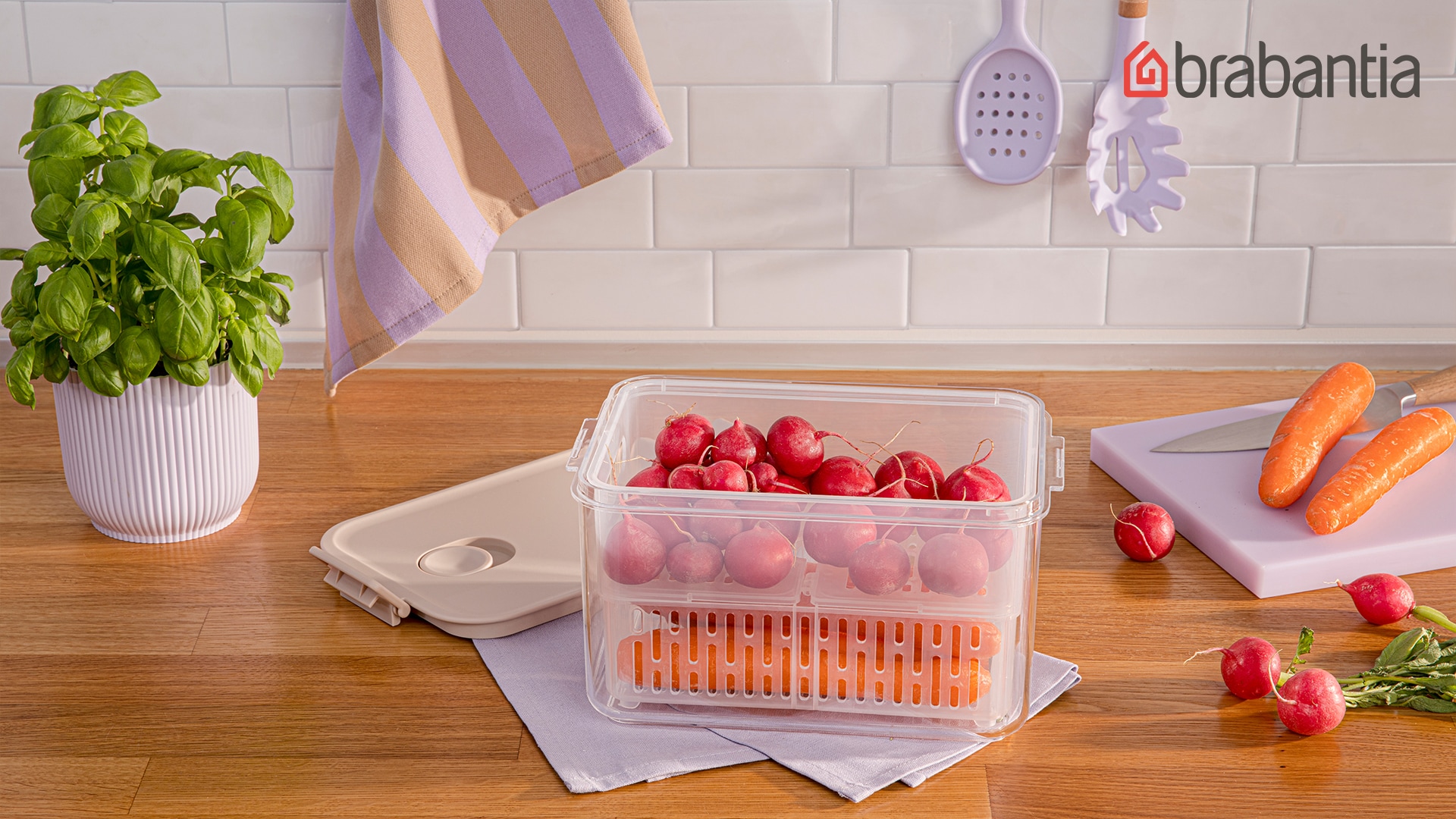 Teaser für die Vorratsboxen mit Gemüse.