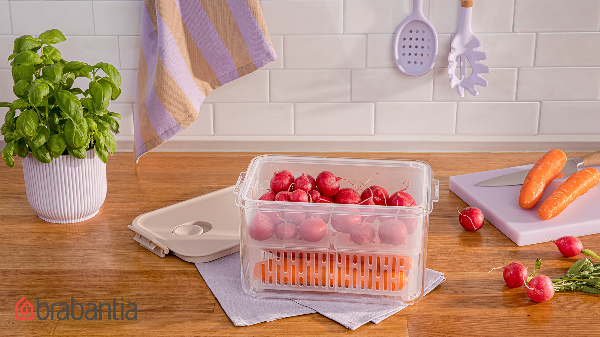 Teaser für die Vorratsboxen mit Gemüse.