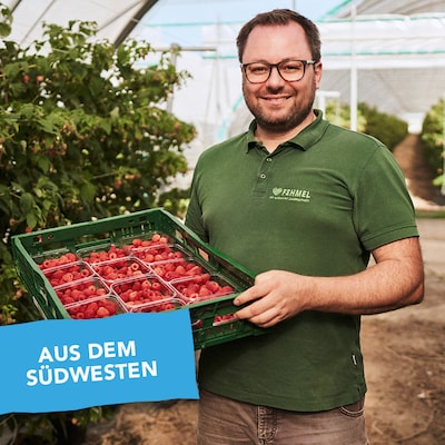 Jochen Fehmel trägt lächelnd eine Kiste mit frisch geernteten Himbeeren.