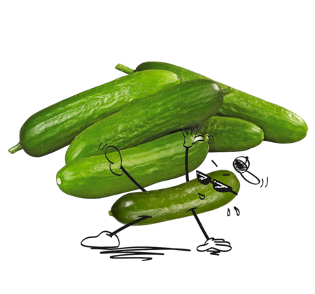 NATURGUT Bio Gurke Snack