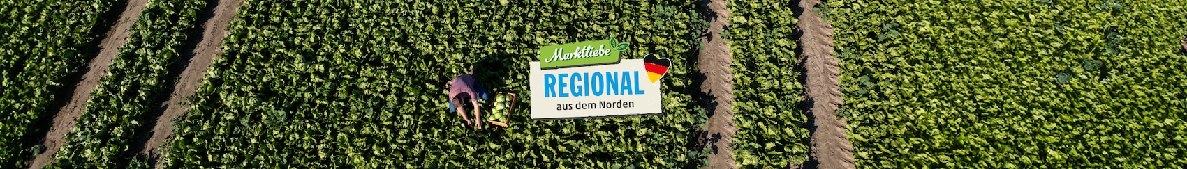 Das Markliebe Regional aus dem Norden Logo vor einem Eisbergsalatfeld