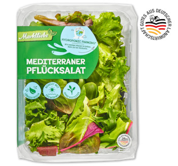 Deutscher mediterraner Pflücksalat 1.11