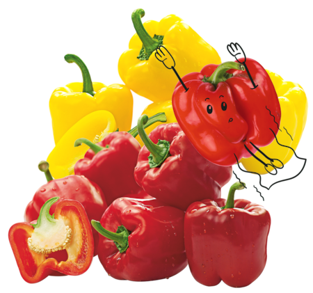 NATURGUT Bio-Paprika-Mix