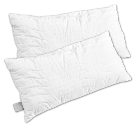 HOME IDEAS Living Bettwaren mit Carbonfäden 12.99