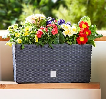 PROSPERPLAST Blumenkasten RATO*