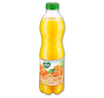 PARADISO Orangen-Nektar 1.69