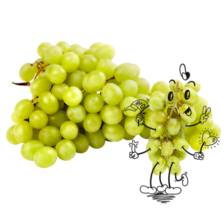 NATURGUT Bio Trauben hell