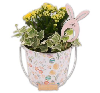 Bepflanzter Zinktopf*