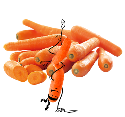 NATURGUT Bio Karotten