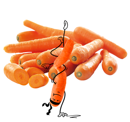 NATURGUT Bio Karotten