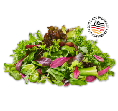 Deutscher mediterraner Pflücksalat*