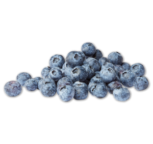 Heidelbeeren*