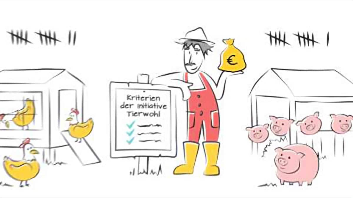 Ein Video zur Initiative Tierwohl