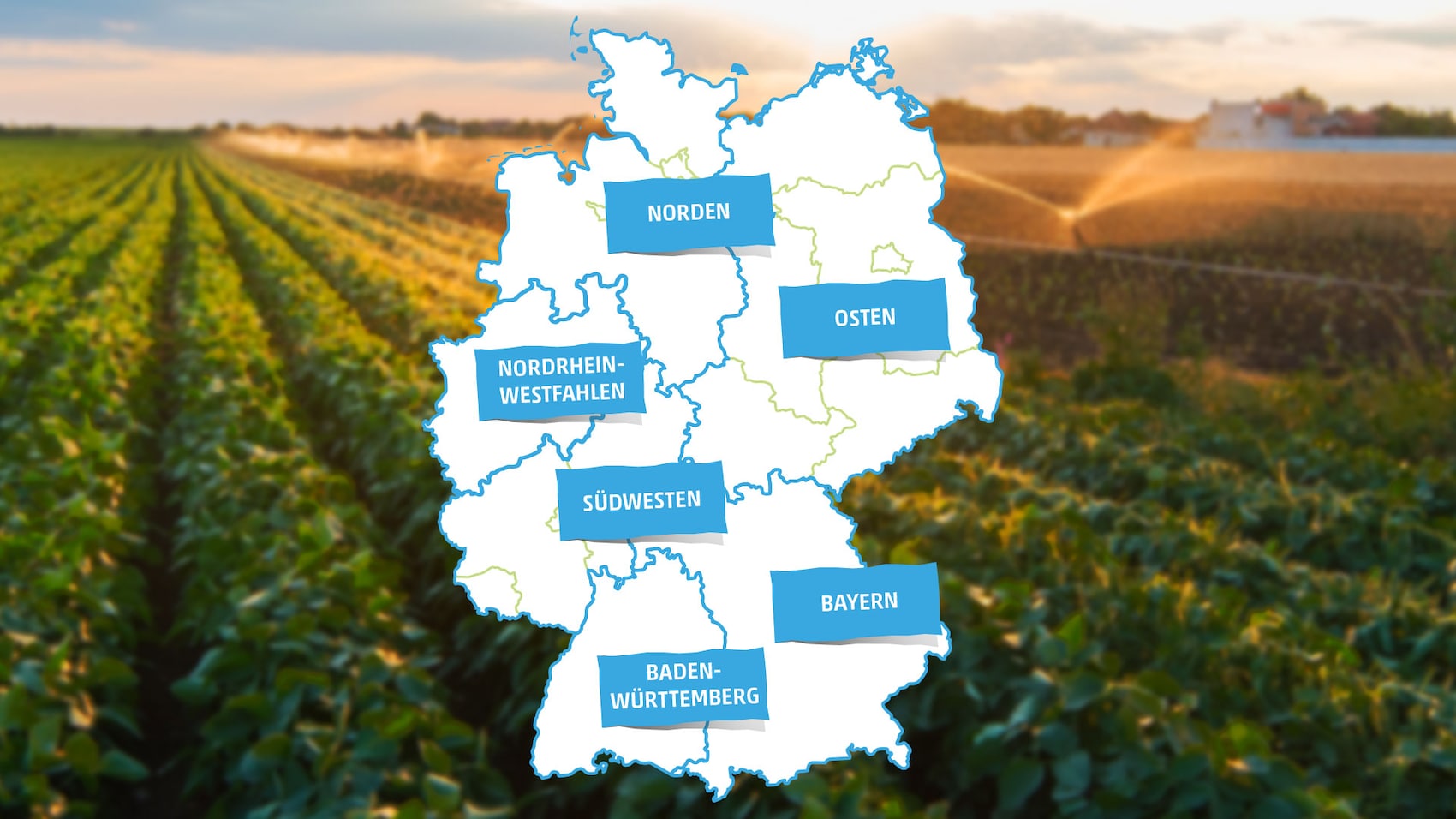 Penny Marktliebe Regional Regionen
