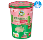 PENNY ZUKUNFTSBAUER Fruchtjoghurt 1.19