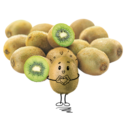 NATURGUT Bio Kiwi