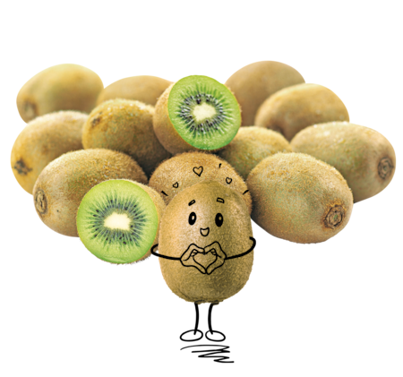 NATURGUT Bio Kiwi