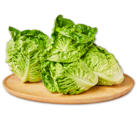 BEST MOMENTS Feiner Römersalat 1.69