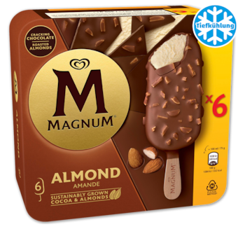 MAGNUM Stieleis 3.29